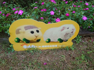 成田ゆめ牧場に投稿された画像（2024/10/29）