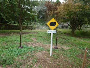 成田ゆめ牧場に投稿された画像（2024/10/29）