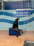 竹島水族館に投稿された画像（2024/10/29）