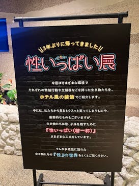 サンシャイン水族館に投稿された画像（2024/10/29）