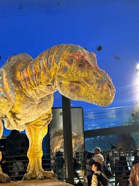福井県立恐竜博物館に投稿された画像（2024/10/29）
