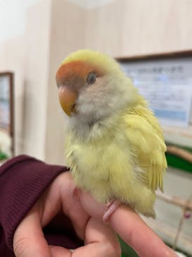 Moff animal world BIGHOPガーデンモール印西店に投稿された画像（2024/10/29）