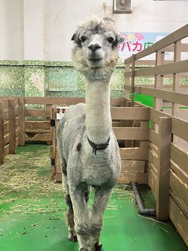 Moff animal world BIGHOPガーデンモール印西店に投稿された画像（2024/10/29）