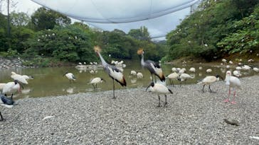 ネオパークオキナワに投稿された画像（2024/10/29）