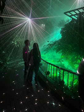 京都府立植物園　LIGHT CYCLES KYOTOに投稿された画像（2024/10/29）