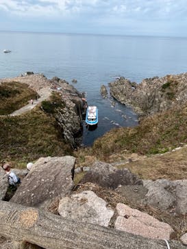 東尋坊観光遊覧船株式会社に投稿された画像（2024/10/29）