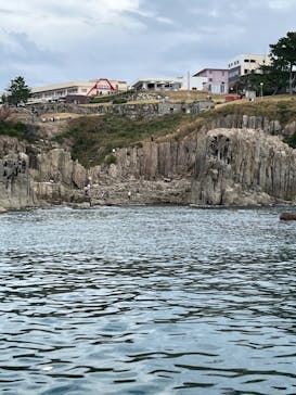 東尋坊観光遊覧船株式会社に投稿された画像（2024/10/29）