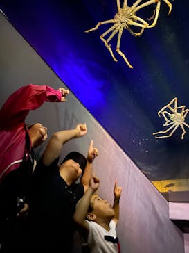 竹島水族館に投稿された画像（2024/10/29）