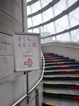 さくらももこ展　@森アーツセンターギャラリーに投稿された画像（2024/10/29）