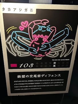 サンシャイン水族館に投稿された画像（2024/10/29）