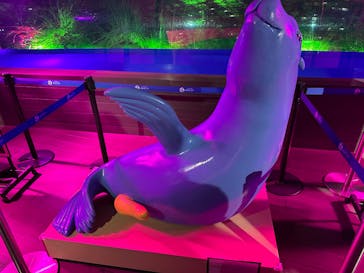 サンシャイン水族館に投稿された画像（2024/10/29）