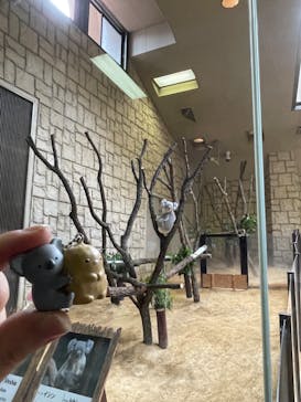 名古屋市東山動植物園に投稿された画像（2024/10/27）