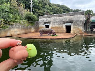 名古屋市東山動植物園に投稿された画像（2024/10/27）