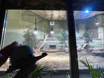 名古屋市東山動植物園に投稿された画像（2024/10/27）