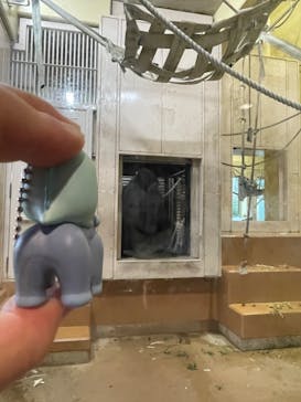 名古屋市東山動植物園に投稿された画像（2024/10/27）