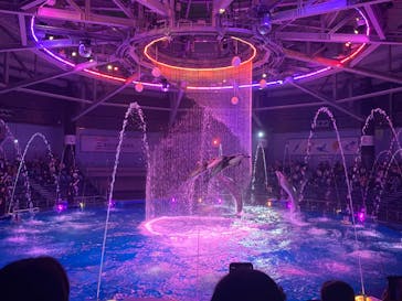 マクセル アクアパーク品川に投稿された画像（2024/10/29）