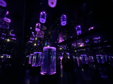 マクセル アクアパーク品川に投稿された画像（2024/10/29）