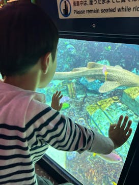 レゴランドⓇ・ジャパン・リゾートに投稿された画像（2024/10/30）