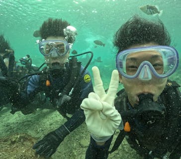 武藤潜水に投稿された画像（2024/10/30）