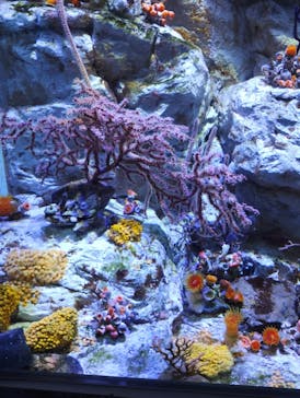 名古屋港水族館に投稿された画像（2024/10/13）