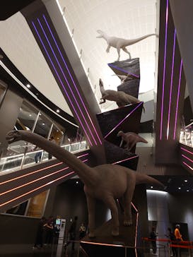 福井県立恐竜博物館に投稿された画像（2024/10/30）