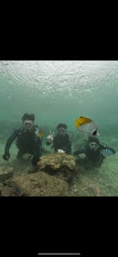 武藤潜水に投稿された画像（2024/10/30）