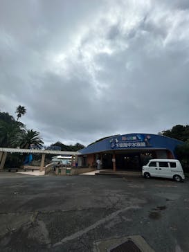 下田海中水族館に投稿された画像（2024/10/30）