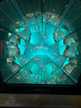 UWS AQUARIUM GA☆KYOに投稿された画像（2024/10/30）