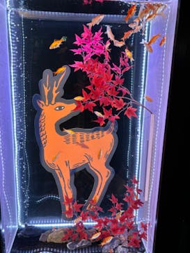 UWS AQUARIUM GA☆KYOに投稿された画像（2024/10/30）