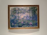 モネ 睡蓮のとき（国立西洋美術館）に投稿された画像（2024/10/30）