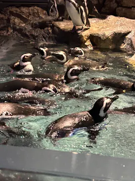 すみだ水族館に投稿された画像（2024/10/30）