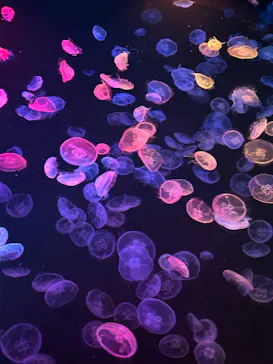 すみだ水族館に投稿された画像（2024/10/30）