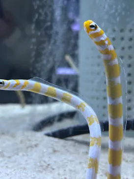 すみだ水族館に投稿された画像（2024/10/30）