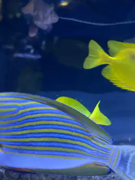 すみだ水族館に投稿された画像（2024/10/30）