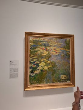 モネ 睡蓮のとき（国立西洋美術館）に投稿された画像（2024/10/30）