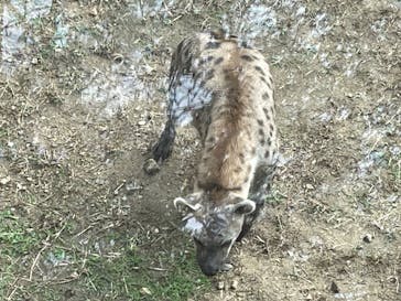 天王寺動物園に投稿された画像（2024/10/30）