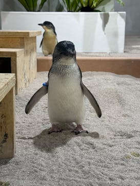 AOAO SAPPOROに投稿された画像（2024/10/30）