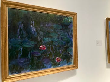 モネ 睡蓮のとき（国立西洋美術館）に投稿された画像（2024/10/30）
