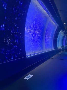 アクアワールド茨城県大洗水族館に投稿された画像（2024/10/30）