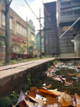 江戸東京たてもの園に投稿された画像（2024/10/30）