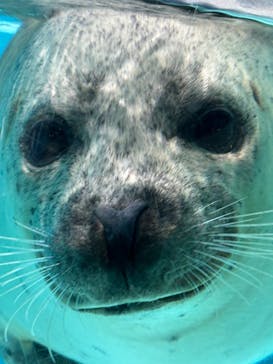 下田海中水族館に投稿された画像（2024/10/30）