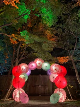 国営昭和記念公園 秋の夜散歩に投稿された画像（2024/10/30）