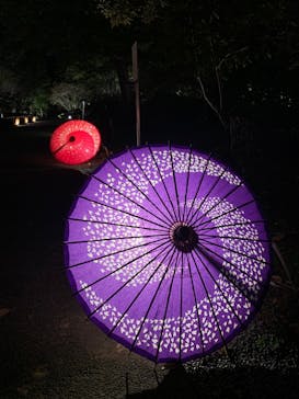 国営昭和記念公園 秋の夜散歩に投稿された画像（2024/10/30）