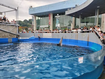 大分マリーンパレス水族館 「うみたまご」に投稿された画像（2024/10/30）