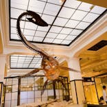 国立科学博物館に投稿された画像（2024/10/31）