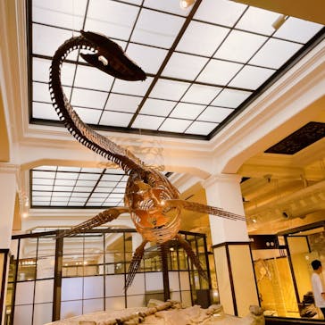 国立科学博物館に投稿された画像（2024/10/30）