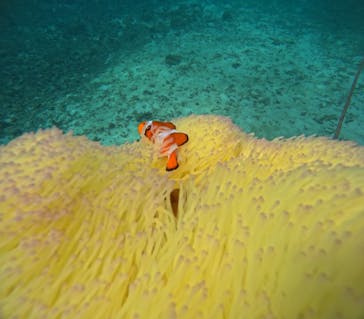 マリンクラブジジに投稿された画像（2024/10/30）