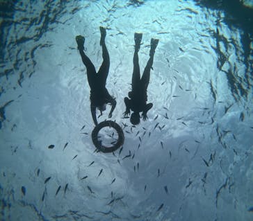 マリンクラブジジに投稿された画像（2024/10/30）