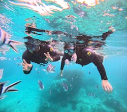 マリンクラブジジに投稿された画像（2024/10/30）