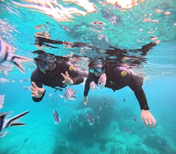 マリンクラブジジに投稿された画像（2024/10/30）